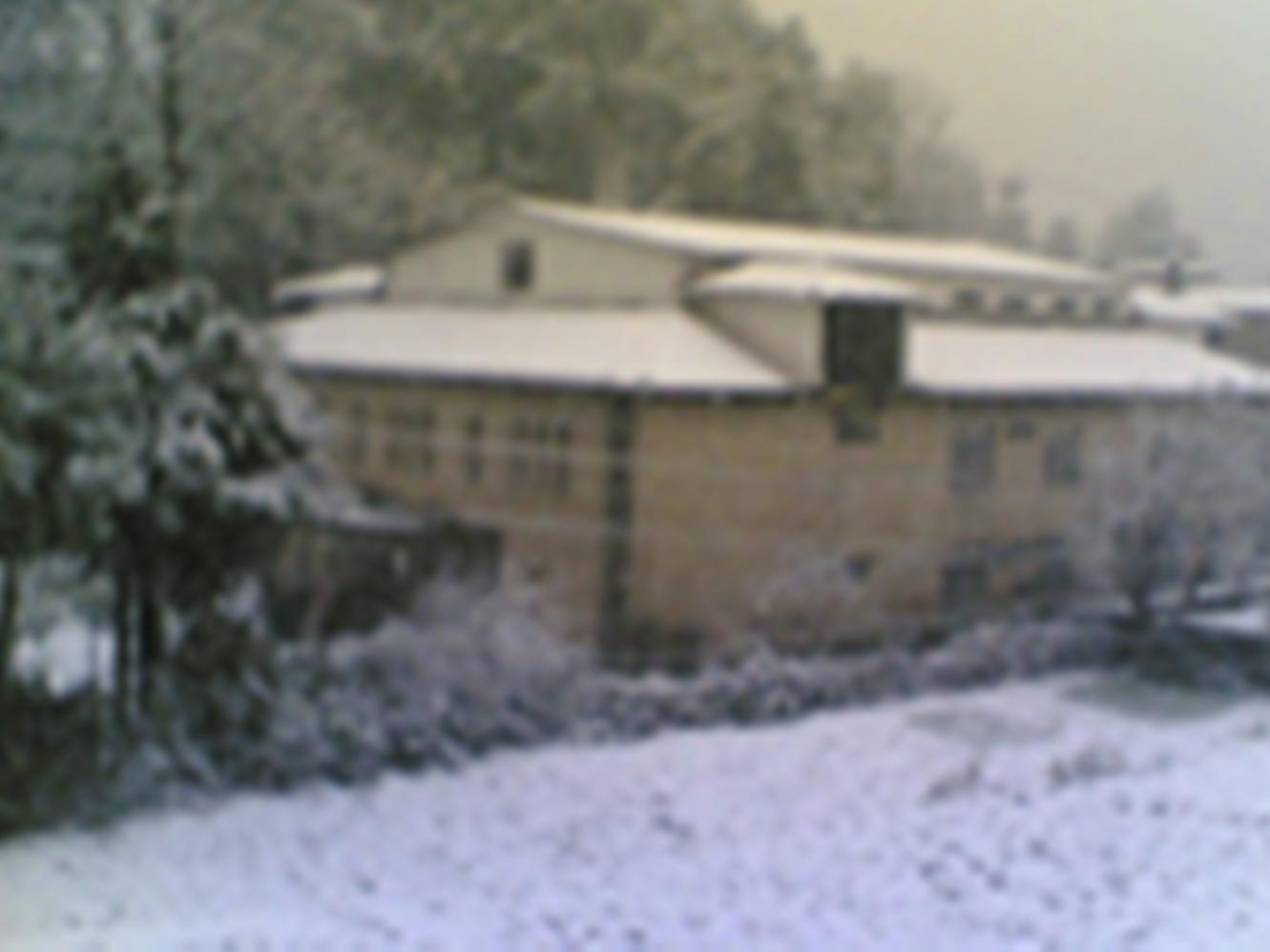 Langdale Manor Hotel Nainital Exterior foto